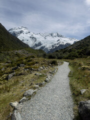 Trail and Mt Sefton, Mt Cook National Park, New Zealand
