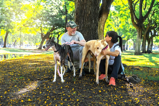 Happy couple with dogs in a park