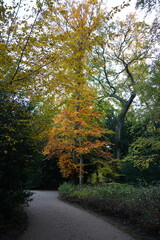 Naklejka premium Vibrant and tranquil nature in Denmark