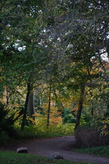 Vibrant and tranquil nature in Denmark