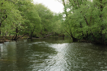 The Tuck (Tuckasegee river) flowing near Bryson city North Carolina