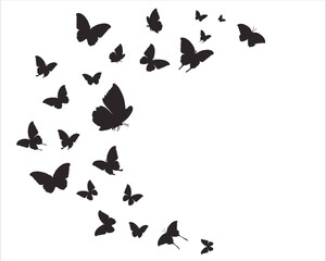 butterflies