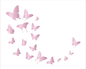 pink background with butterflies