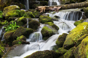 Waterfall cascading over the rocks near Wild Cherry Branch in the Great Smoky Mountains National...