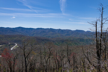 Plott Balsam overlook. View of the Qualla reservation in the distance