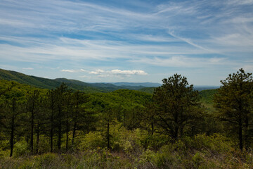 View from Skyline drive in the Shenandoah National Park, Virginia