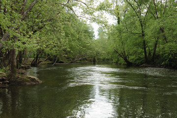 The Tuckasegee river near Bryson city North Carolina