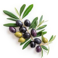 olives and olives on a white background.