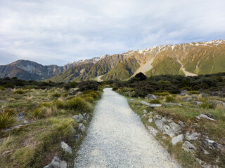 Track, Mt Cook National Park, South Island, New Zealand