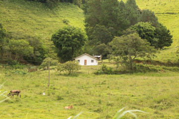 Casinha branca no pé da serra cercada por vegetação. 