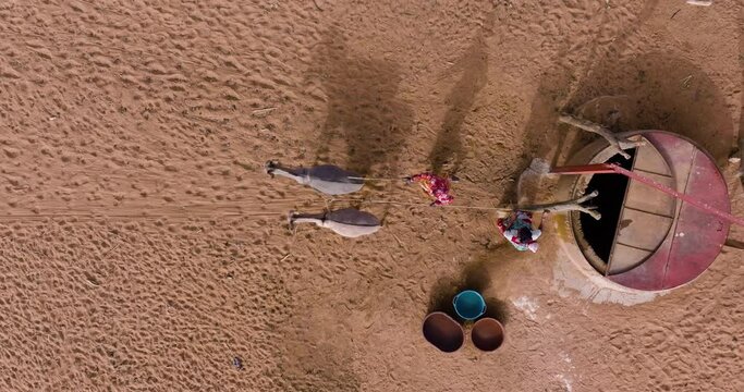 Straight down aerial. Two black woman drawing water from a deep well with the help of donkeys in the barren landscape of the Sahel, Sahara Desert, Senegal. Drought, Climate Change, Desertification