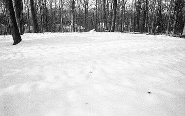 backyard covered with snow in winter in black and white
