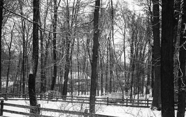 backyard covered with snow in winter in black and white