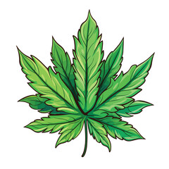 Cannabis leaf marijuana vector colorful illustration