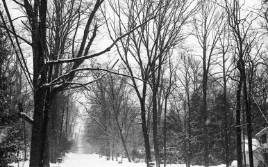 suburban street covered with snow after the storm in black and white