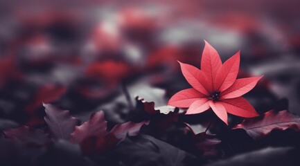 a red flower with leaves - Powered by Adobe