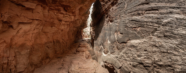 Trail Cuts Through Tall Walls of Echo Canyon in Zion