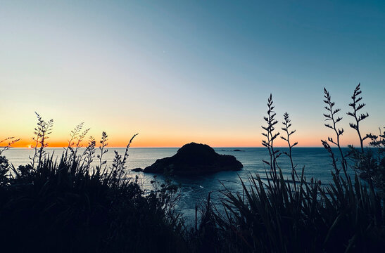 Sugarloaf Islands and flax flowers, Taranaki, New Zealand