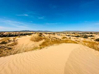 Sand hills, Bulgan, Mongolia