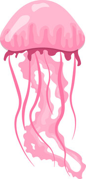 Illustration of a Pink Vector Jellyfish on a White Background, Editable, White, Jellyfish, Pink, Cute