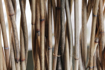 texture of bamboo