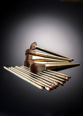 Makeup brushes. Various Professional makeup brush