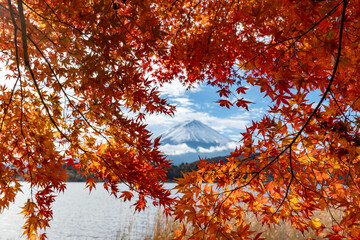 富士と紅葉
