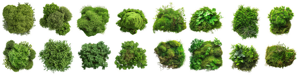 Obraz premium Collection of Lush Green Moss Clusters Isolated on Transparent Background
