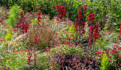 Staudenbeet, Beet mit Herbststauden