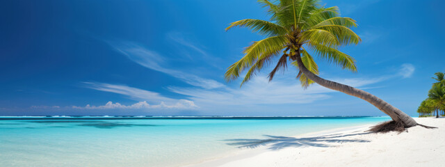 Fototapeta na wymiar Summer tropical paradise beach background
