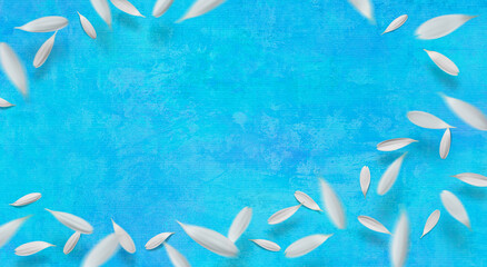 青い重ね塗りペイントの背景に、白いガーベラが舞う季節のテクスチャー