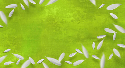 緑の重ね塗りペイントの背景に、白いガーベラが舞う季節のテクスチャー	
