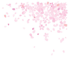 桜　春　花びら　散る　和風　背景　素材