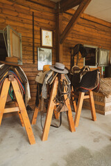 Accessories for horses in stable, dressage horse equipment
