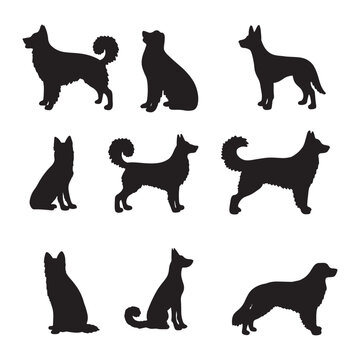 Isolated dogs on the white background. Dogs silhouettes. Vector EPS 10.	