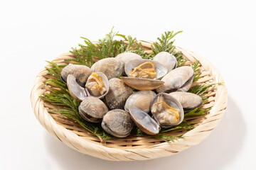 ［中国産］あさり