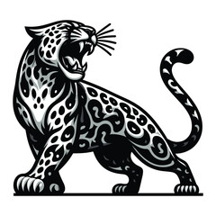 Wild roaring jaguar leopard full body vector illustration, zoology illustration, animal predator big cat design template isolated on white background