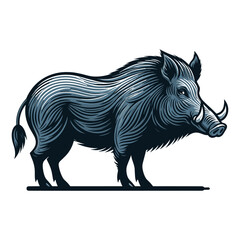 Wild hog boar pig full body design vector illustration, beast animal wildlife template isolated on white background