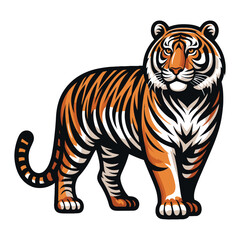 Obraz premium Wild tiger full body vector illustration, zoology illustration, animal predator big cat design template isolated on white background