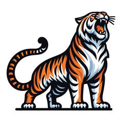 Obraz premium Wild roaring tiger full body vector illustration, zoology illustration, animal predator big cat design template isolated on white background