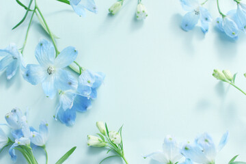 Fototapeta na wymiar 青い花の背景