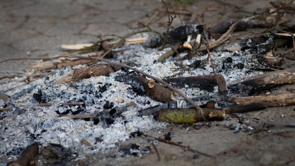 wegfeuer Lagerfeuer feuerstelle kein feuer hier äste 