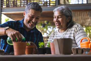 Senior biracial couple enjoys gardening together, sharing a joyful moment