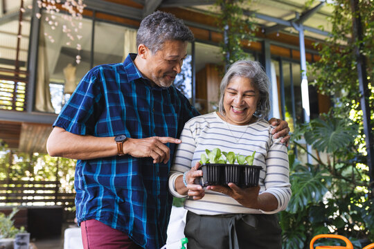 Senior biracial couple admires a tray of seedlings, sharing a joyful moment - Powered by Adobe