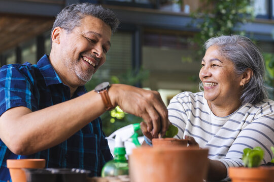 Senior biracial woman and biracial man share a joyful moment gardening