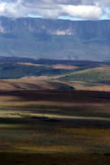 La Gran Sabana,inmensa region llena de selva,Tepuyes y rios.