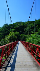 初夏の抱返り渓谷