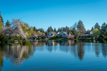 Fototapeta na wymiar Serene Lakeside Spring Morning with Blossoming Trees Reflecting in Calm Waters