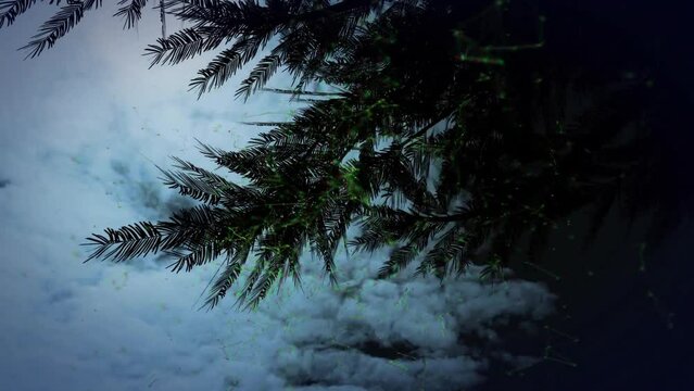 Animation of fir tree over clouds moving