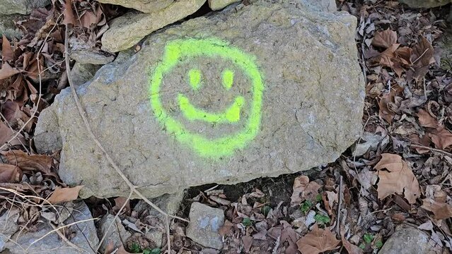 Happy face symbol painted on rock with bright green paint